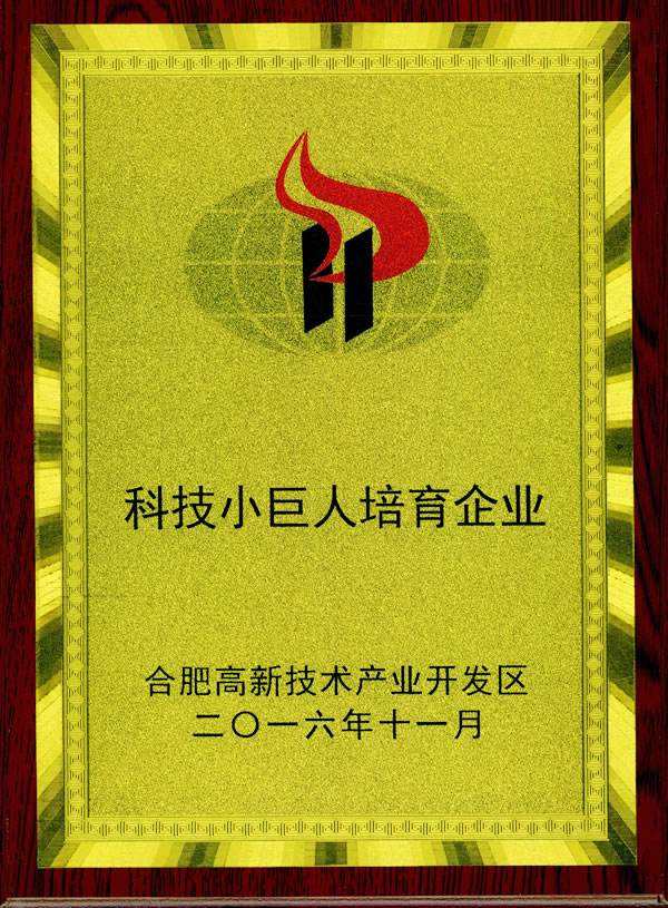 合肥市科技小巨人 合肥市科技小巨人