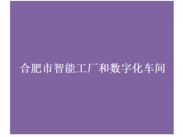 合肥市智能工廠和數(shù)字化車間認定條件
