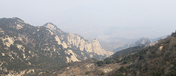 專(zhuān)業(yè)實(shí)力 專(zhuān)業(yè)實(shí)力