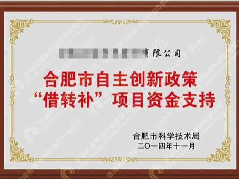 合肥市“借轉補”項目